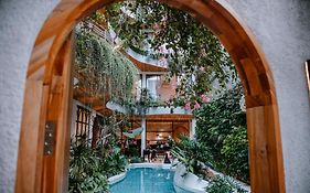 Cityhouse - Cityoasis